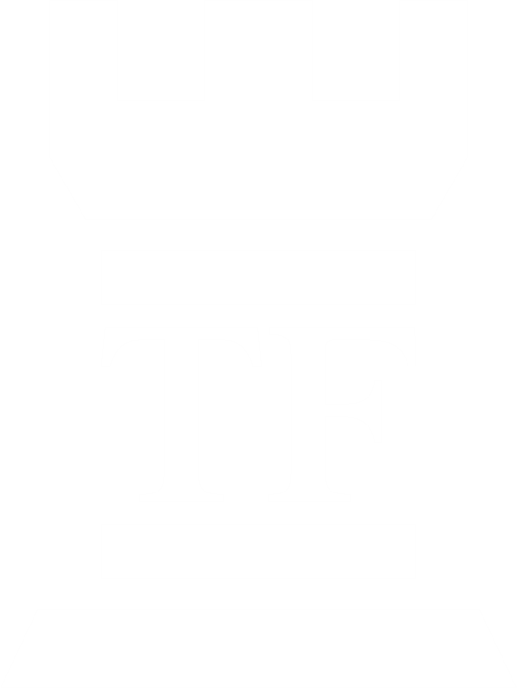 Top Finance Logo